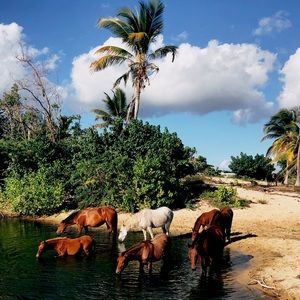 Meet your Posher, Carolyn | OFFERS WELCOME!